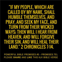 Lunchtime With Kimmie