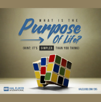 285: What Is the Purpose of Life? (Hint: Its Simpler Than You Think)