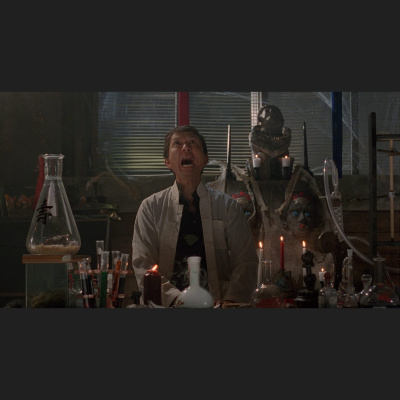 The Tim-o And Harley Show