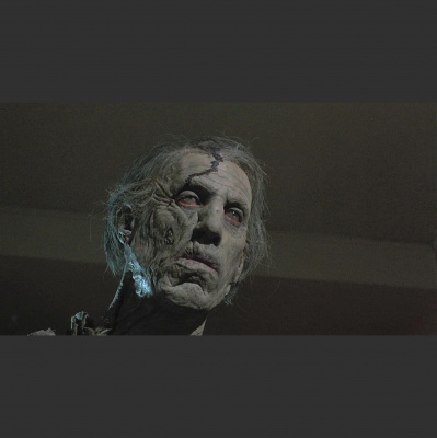 The Tim-o And Harley Show