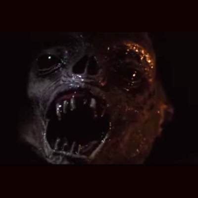 The Tim-o And Harley Show