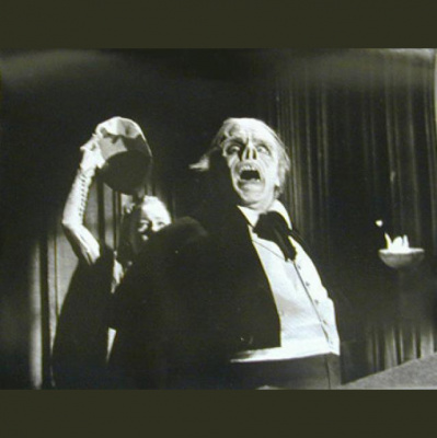 The Tim-o And Harley Show