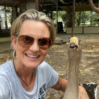 Ep 254: How Honk, the Dallas Goose became famous worldwide  gave a filmmaker a true second shot