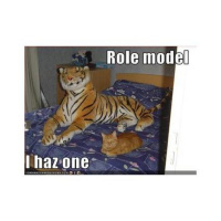 What does it mean to have an Aim?