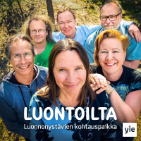 Luontoilta 12.11.2025