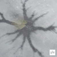 Luontoilta: Outoja kuvioita jäällä