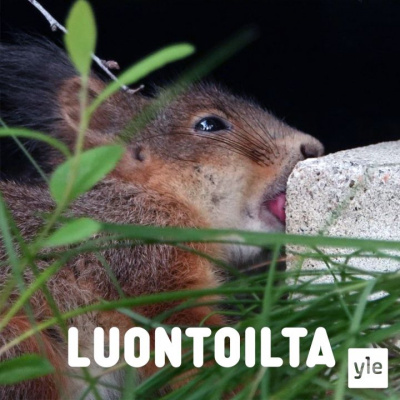 Luontoilta
