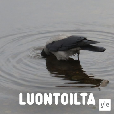 Luontoilta