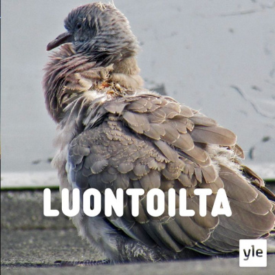 Luontoilta