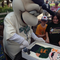 My Last Gnate The Gnat Introduction