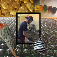 Travis lernt Bonbons herstellen (hilfe!)