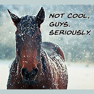 Douglas And Dragons: An Actual-play Pathfinder Podcast