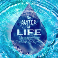 SERMON: The Water of Life Part 4 - Seeking the Savior