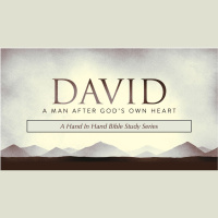 BIBLE STUDY: David Lesson 19 - Riding Out the Storm