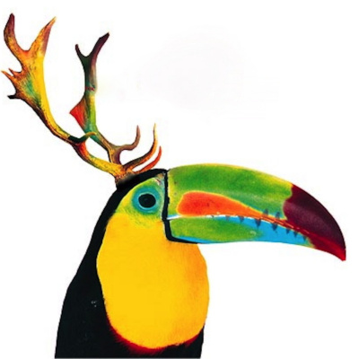 Nicolas Bailly Podcast