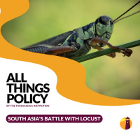 South Asias battle with Locust