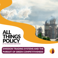 Emission Trading Systems and the Pursuit of Green Competitiveness