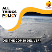 Did the COP 29 deliver?