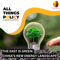 The East is Green: Chinas New Energy Landscape 