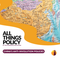 Chinas Anti-involution Policies