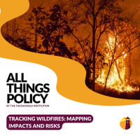 Tracking Wildfires: Mapping Impacts and Risks