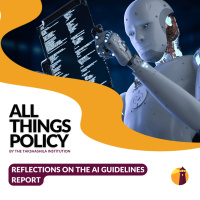 Reflections on the AI Guidelines Report
