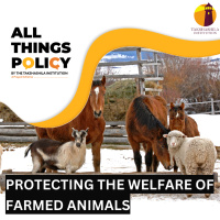 Protecting the welfare of farmed animals