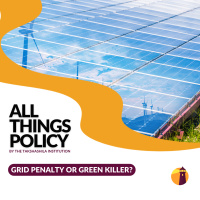 Grid Penalty or Green Killer?