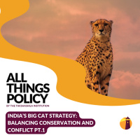 India’s Big Cat Strategy: Balancing Conservation and Conflict Pt.1