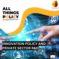 Innovation policy and private sector RampD