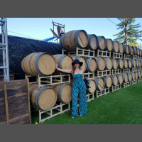 SÍ al vino, NO al miedo. Yes to wine and NO to fear, overcoming ‘wine list intimidation.’