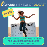 350 | Creating a 2025 Growth Plan for Your Impact Business with Paul Zelizer