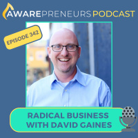 342 | Radical Business with David Gaines