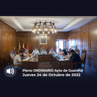 24.02.2022 - Pleno Ordinario