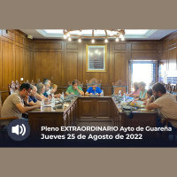 29.09.2022 - Pleno Ordinario
