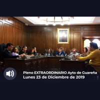 23.12.2019 - Pleno Extraordinario (Presupuestos)