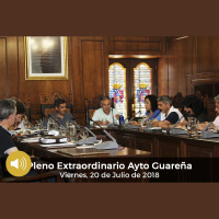 20.07.2018 - Pleno Extraordinario