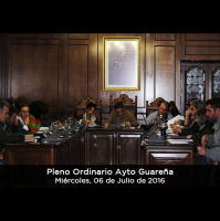 06.07.2016 - Pleno Ordinario