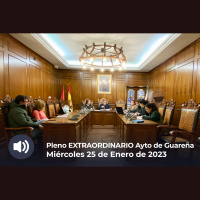 25.01.2023 - Pleno Extraordinario