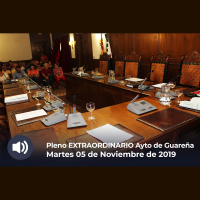 05.11.2019 - Pleno Extraordinario