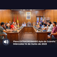14.06.2023 - Pleno Extraordinario