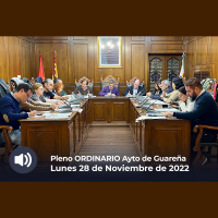 22.12.2022 - Pleno Extraordinario (Presupuestos)