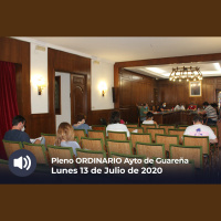 13.07.2020 - Pleno Ordinario