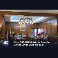 29.07.2021 - Pleno Ordinario