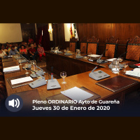 30.01.2020 - Pleno Ordinario