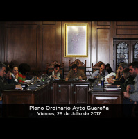 28.07.2017 - Pleno Ordinario