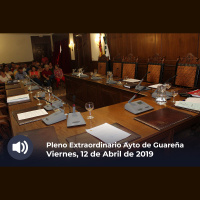 12.04.2019 - Pleno Extraordinario y Urgente