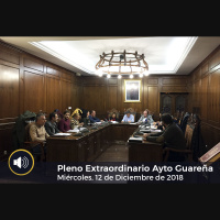 12.12.2018 - Pleno Extraordinario (Presupuestos)