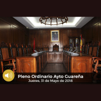 31.05.2018 - Pleno Ordinario