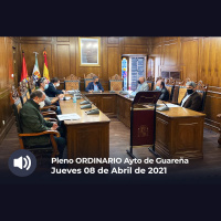 08.04.2021 - Pleno Ordinario